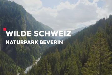 Wilde Schweiz – 2. Staffel